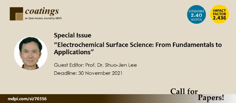 Electrochemical Surface Science of MDPI Coatings